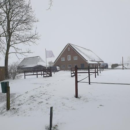Landelijk Gelegen Boerderij Aan De Pothofweg Apartment Anevelde Exterior photo